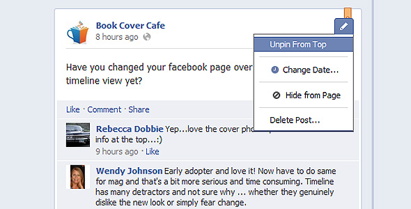 Facebook-Timeline-For-Pages-Pin