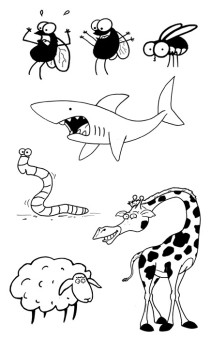 diagrams and illustration examples